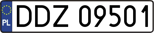 DDZ09501