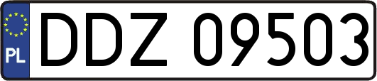 DDZ09503