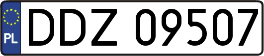 DDZ09507