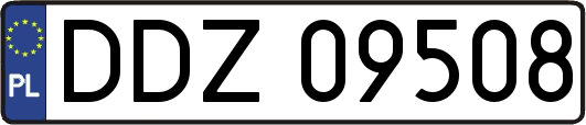 DDZ09508