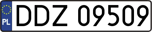 DDZ09509