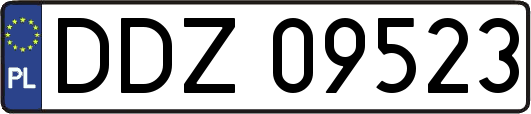 DDZ09523