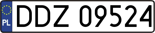DDZ09524