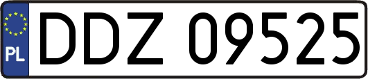 DDZ09525