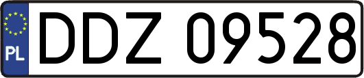 DDZ09528