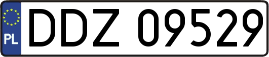 DDZ09529