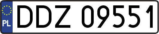 DDZ09551