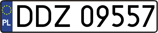 DDZ09557