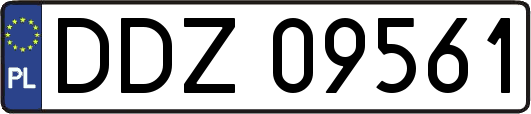 DDZ09561