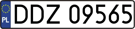 DDZ09565