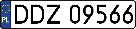 DDZ09566