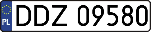 DDZ09580