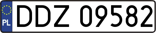 DDZ09582