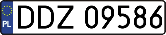 DDZ09586