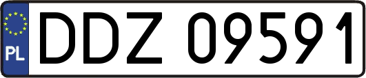 DDZ09591