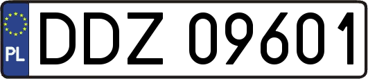 DDZ09601