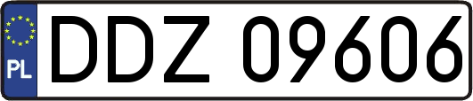 DDZ09606