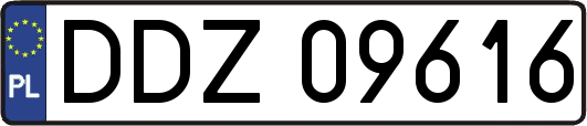 DDZ09616