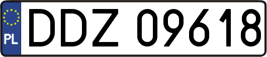 DDZ09618