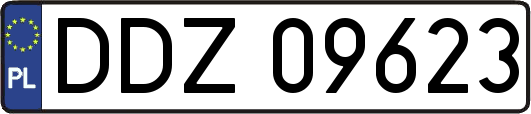 DDZ09623