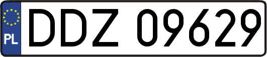 DDZ09629