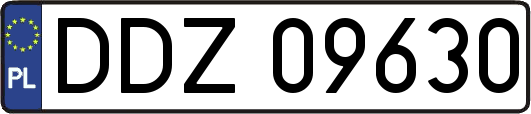 DDZ09630
