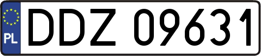 DDZ09631