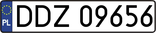 DDZ09656
