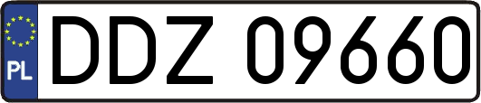 DDZ09660