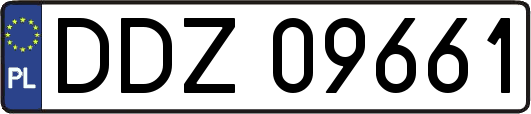 DDZ09661