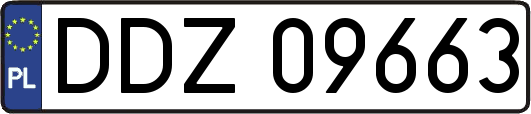 DDZ09663