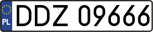 DDZ09666