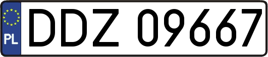 DDZ09667