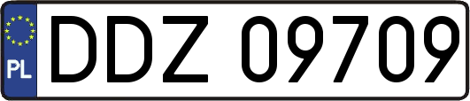 DDZ09709