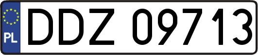 DDZ09713