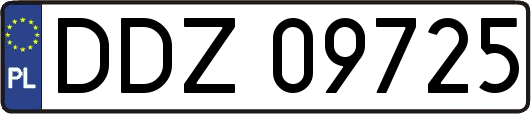 DDZ09725