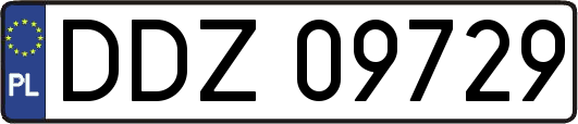 DDZ09729