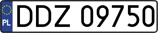 DDZ09750