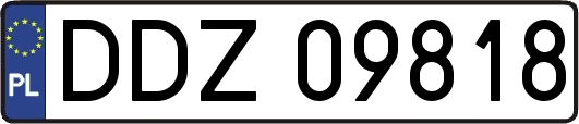 DDZ09818