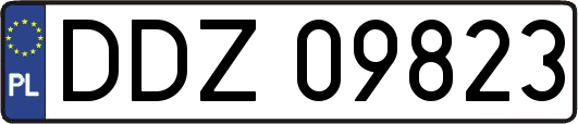 DDZ09823