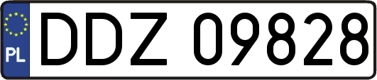 DDZ09828