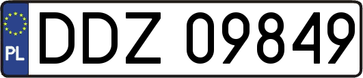 DDZ09849