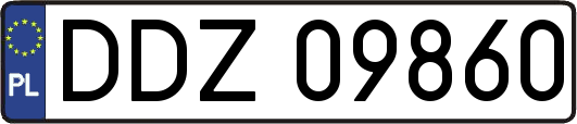 DDZ09860