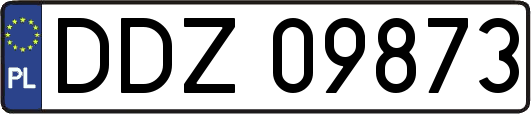 DDZ09873