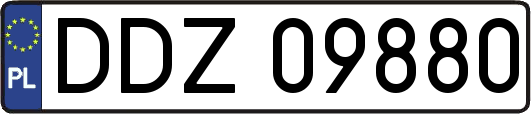 DDZ09880
