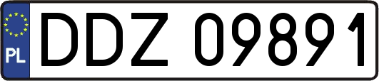 DDZ09891