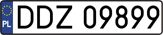 DDZ09899