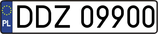 DDZ09900