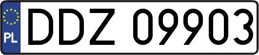 DDZ09903