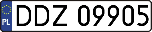 DDZ09905